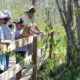 Stauffer’s Marsh Nature Preserve Volunteer Workday