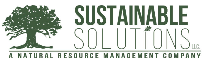 Sustainable Solutions