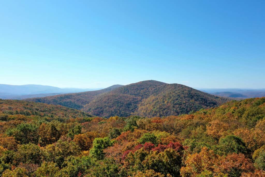 Wellness Walk at Eidolon Nature Preserve – Potomac Valley Audubon Society