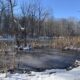 Winter Bird Walk at the USGS Eastern Ecological Science Center