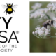 PVAS Monthly Program: What’s A Bee City USA? It’s not what you think.