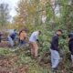 Fall Volunteer Workday at Cool Spring Preserve